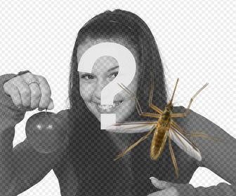 online photomontage to put mosquito in ur photos
