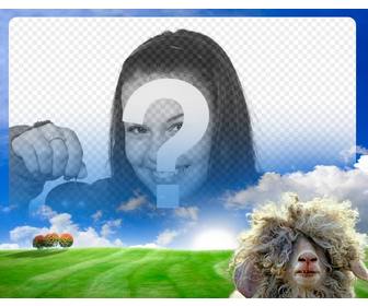 photomontage with sheep and green meadow background