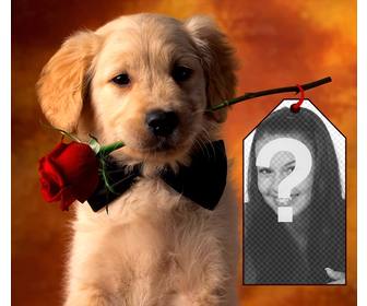 photomontage with puppy to put your photo in card held by the puppy