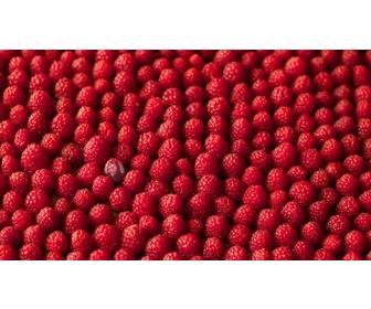 game for ur picture with stack of raspberries