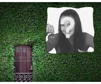 photomontage to put ur photo on an ivy