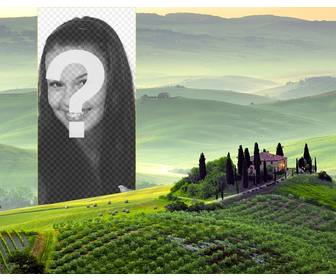 postcard of tuscan landscape to put ur photo