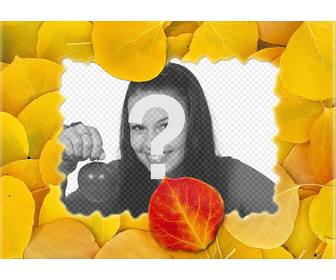 photomontage of photo frame with dry leaves