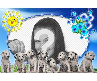 photomontage with dalmatian puppies and photo background