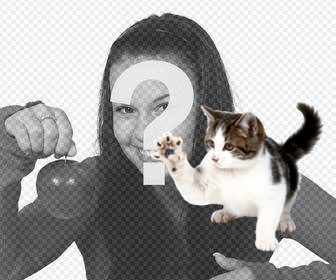 clawing cat sticker to put ur photos online