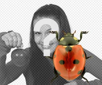 photomontage to put ladybug in ur photos