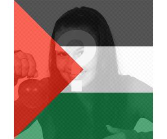 filter of palestine flag to put in your photo