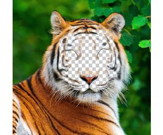 photomontage of tiger to upload your picture on his face