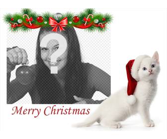 christmas photo effect with kitten to upload ur photo