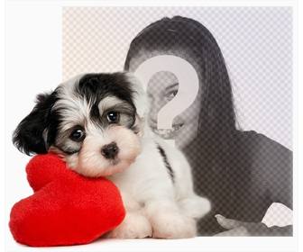 photo effect of puppy with heart for ur photo