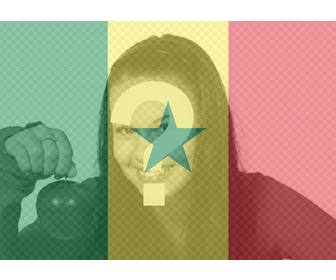 photo effect of senegal flag for ur photo