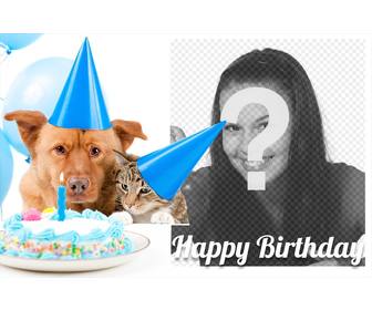 sweet birthday card with dog and cat for picture