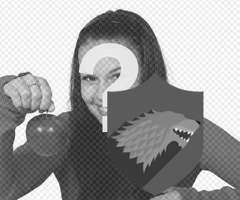 shield for ur photos of house stark for free