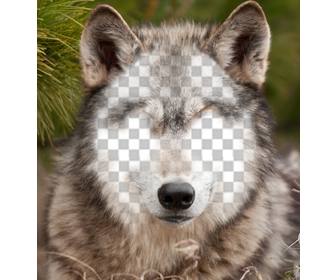 put your face on wolf with this photo effect
