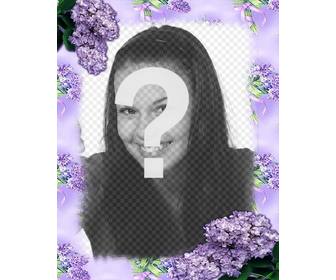 violet flowers to decorate ur photos with this online effect