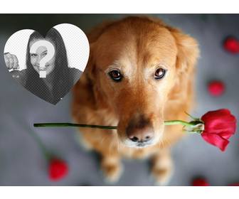 romantic photo effect with dog and rose to add ur photo