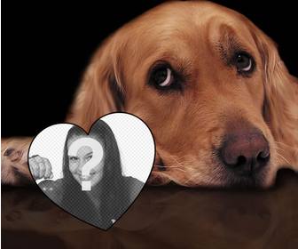 photo effect of love with tender dog to add ur photo inside heart