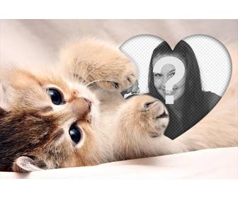 cute photo effect of kitten hugging heart to add ur photo