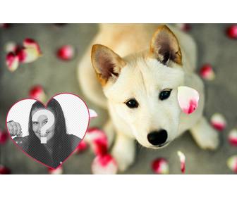 cute photo effect to add ur photo in heart with puppy