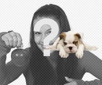 sticker of bull dog puppy that u can add in ur photos
