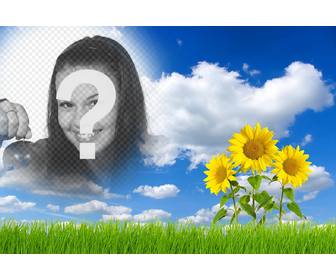 online effect to edit and add your picture in landscape with daisies