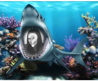 your photo inside the mouth of shark under the sea with this fun photomontage