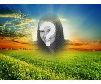 beautiful green landscape where you can add your photo in the sun