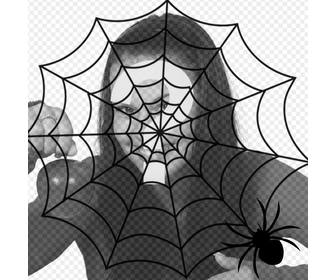 put spiders web and spider in your photo terror effect