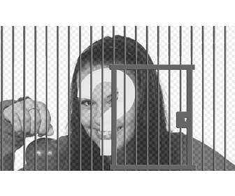 photomontage of cell to enclose your images online