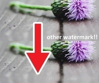 Remove watermark of photos online