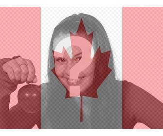 put the canadian flag in your profile photo online