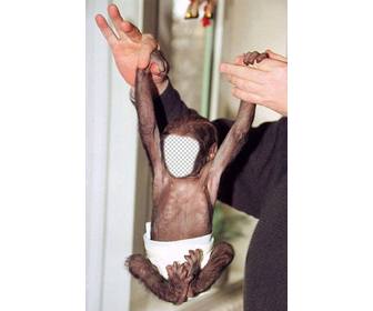 mounting for photos where you can be small monkey