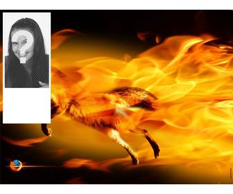 insert ur picture into this photo frame with fox surrounded by flames fire orange and black colors