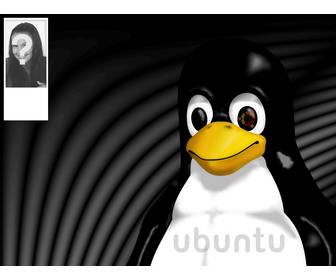 background for twitter of the linux mascot tux where u can put ur photo