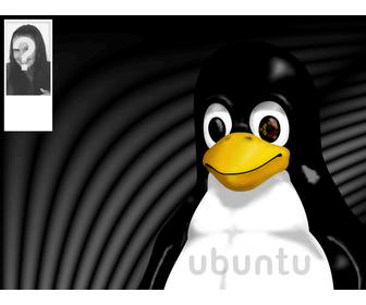 background for twitter of the linux mascot tux where you can put your photo
