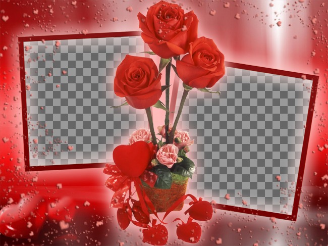 Photo frame where you can put two pictures that appear linked by some roses. red background with..
