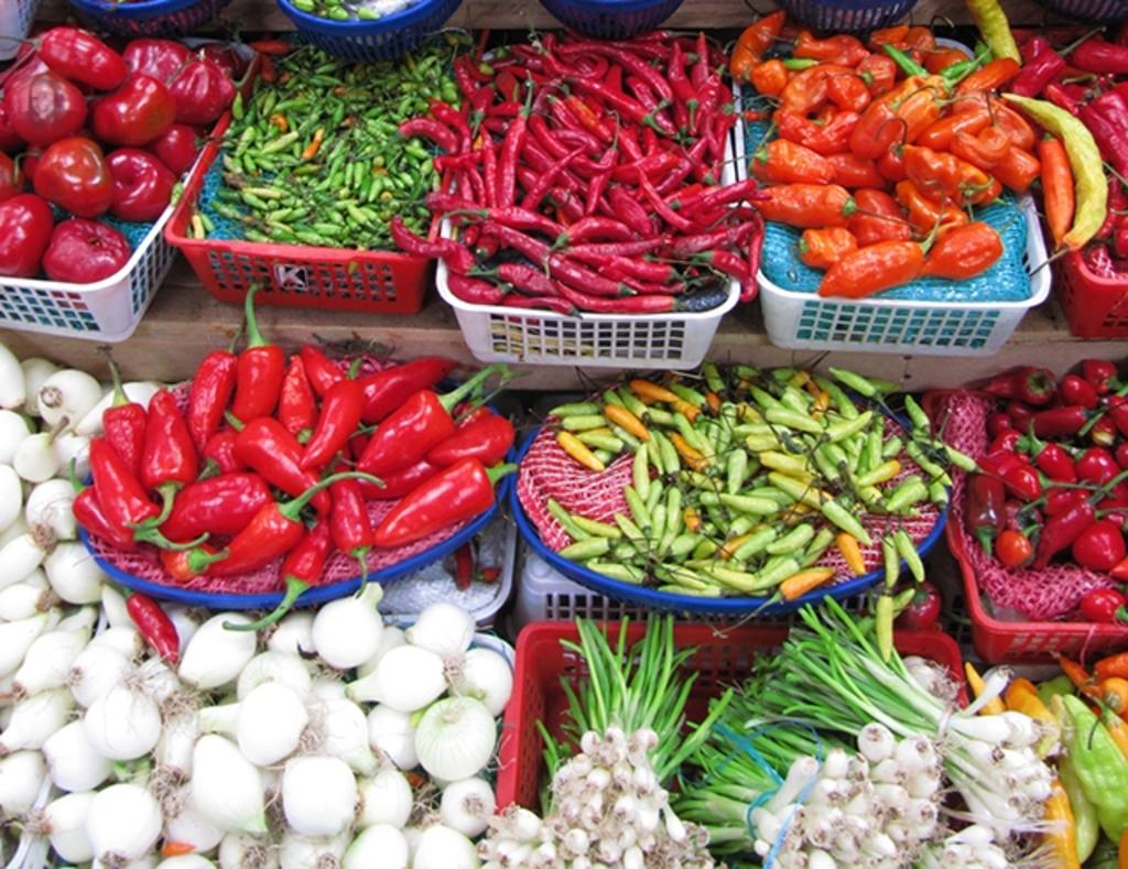 Play with your children to find the photo between the vegetable and educate them having fun learning to eat..