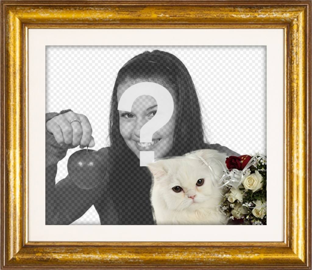 Gold photo frame with a white Persian cat and red and white roses to put your love photo with your boyfriend or..