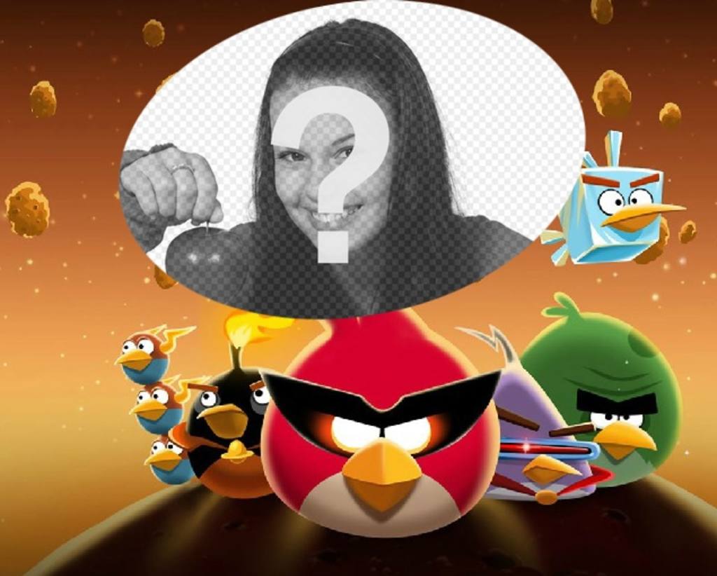 Collage about Angry Birds in Space with the famous birds dressed!..