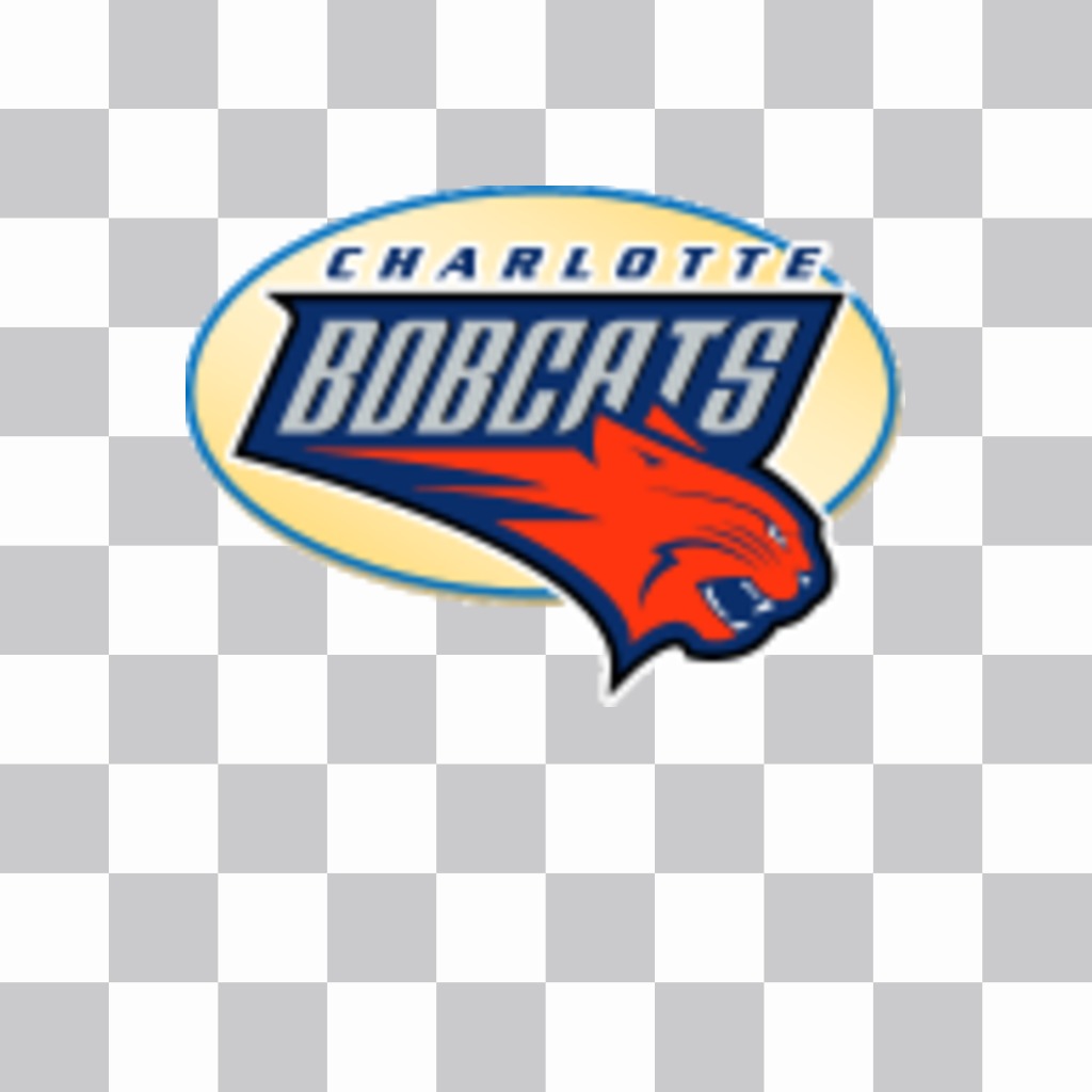 Sticker with the logo of the Charlotte Bobcats. ..