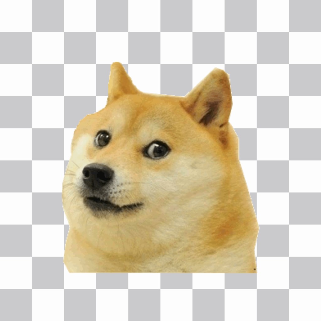 Sticker of the meme doge ..