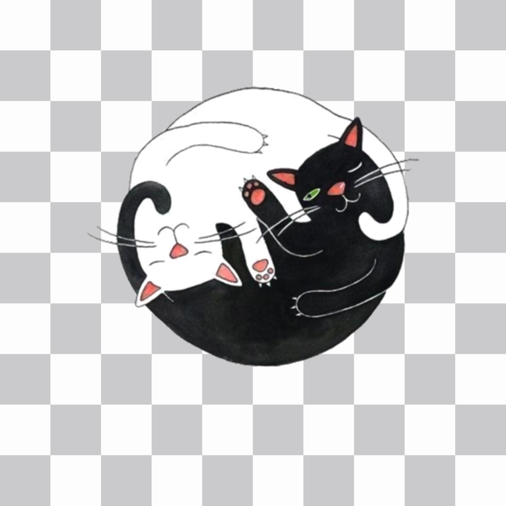 Sticker of two cuddling cats. ..