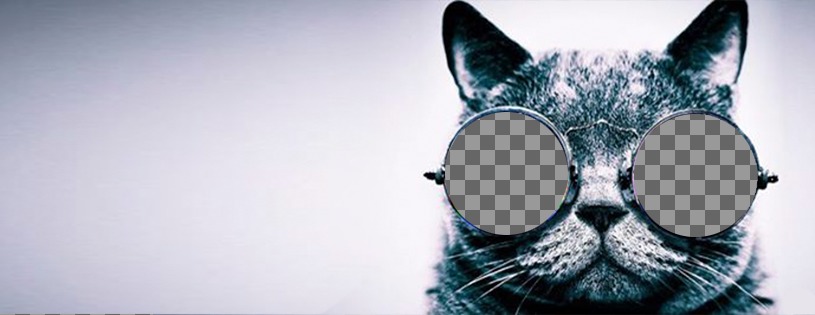 Customizable cover photo for Facebook with a cat with sunglasses ..