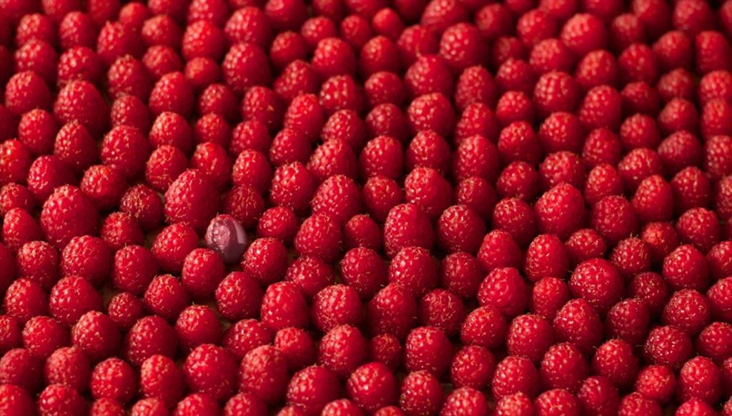 Game for your picture with a stack of raspberries ..