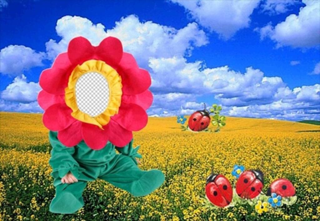 Costume of flower in the meadow, to put the face of your baby ..