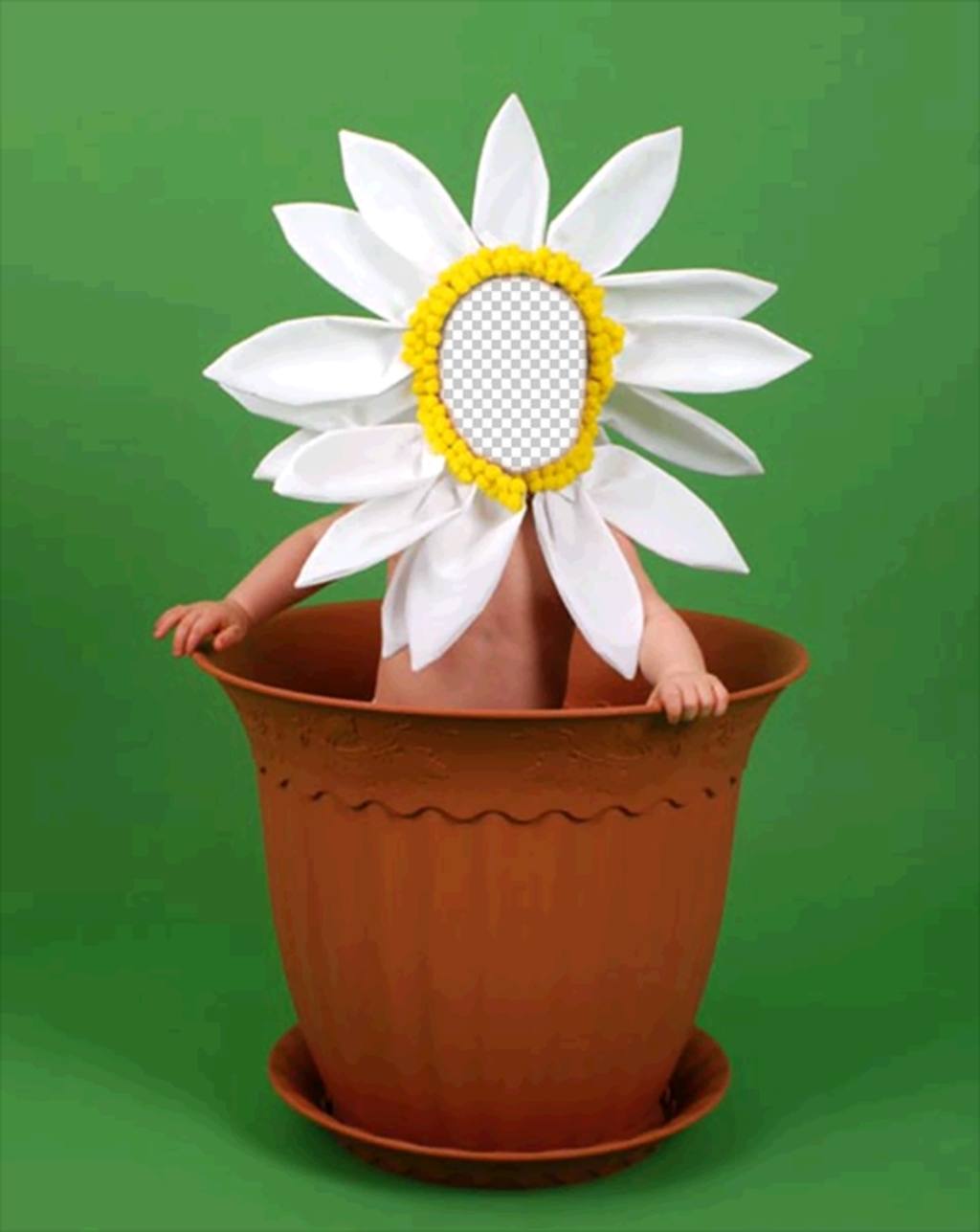 Photomontage for children to disguise of a flower in a pot ..