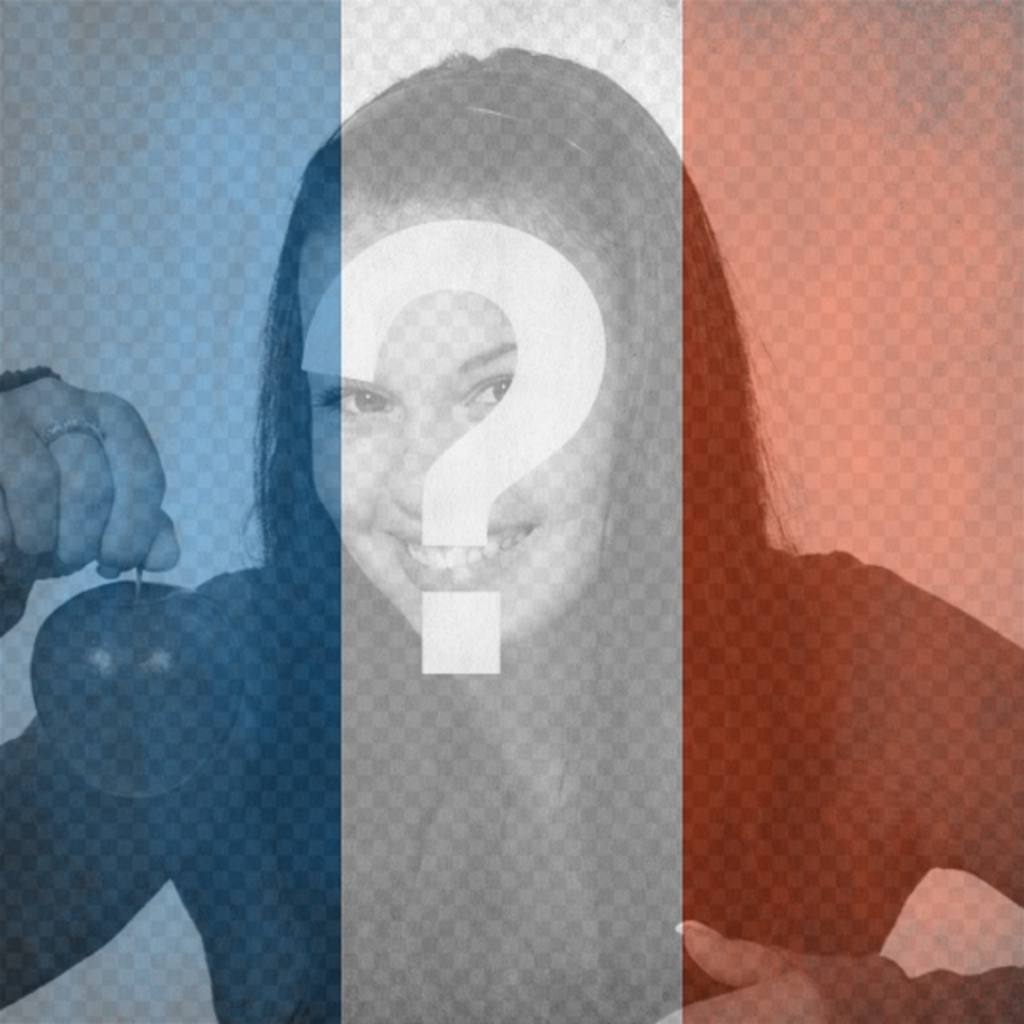 Flag of the French Republic to put in your photo Send a Message facebook or twitter. ..
