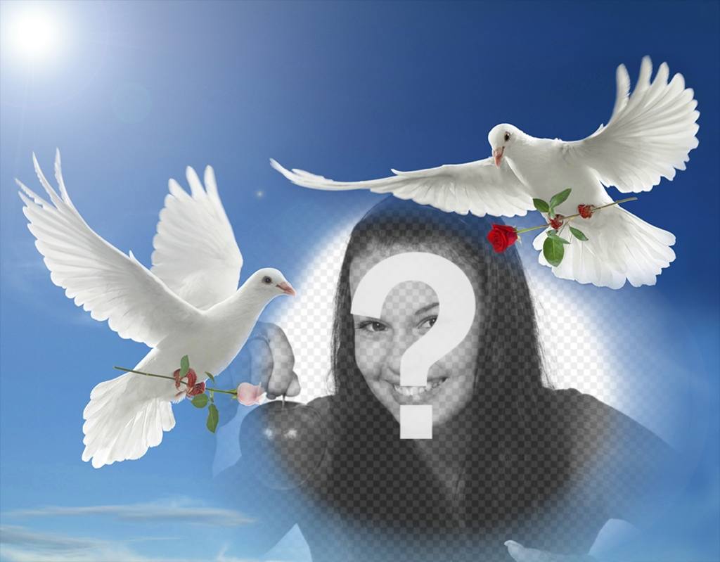 Photo effect of peace with two white doves flying ..