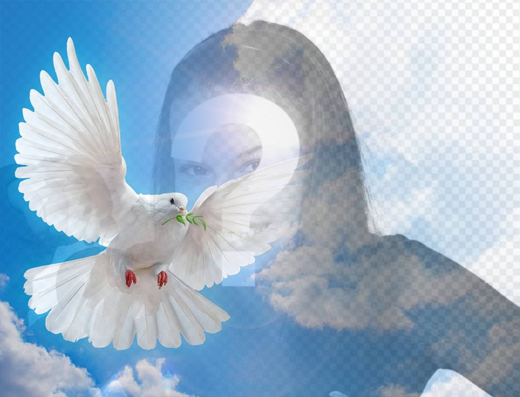 Photo effect with the Peace dove for your photo ..