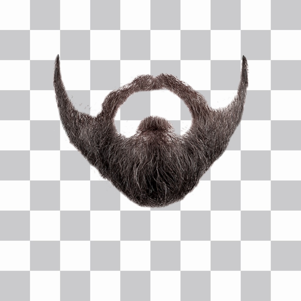 virtual beard styler